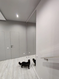 Зеркала в полный рост #76